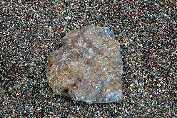 Beachcombing on Moonstone Beach 033.JPG